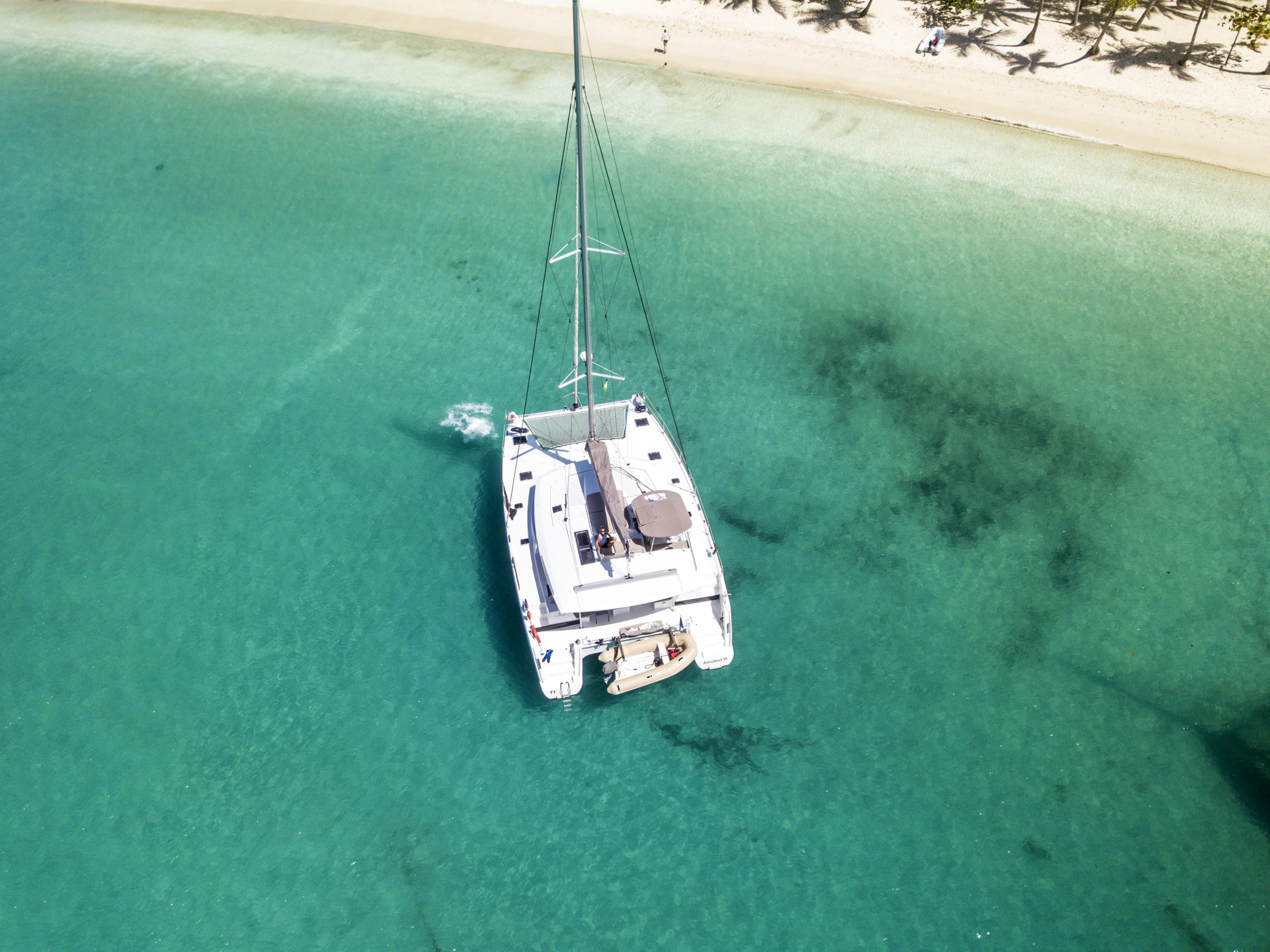 location catamaran antilles